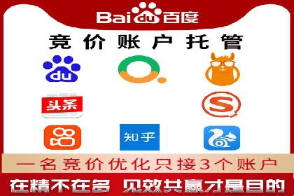行业领先SEM服务公司案例研究